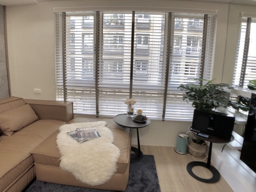 大衛橡木--張彥鋒設計師