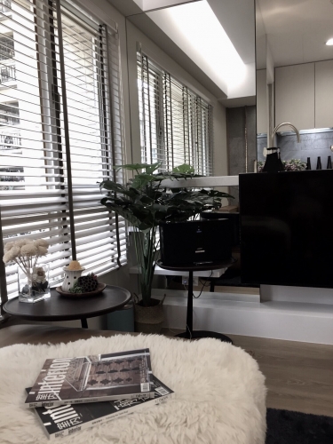 大衛橡木--張彥鋒設計師