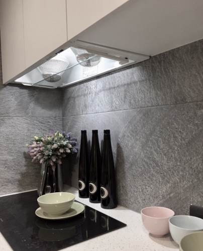 大衛橡木--張彥鋒設計師