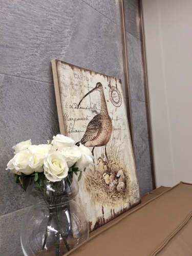 大衛橡木--張彥鋒設計師