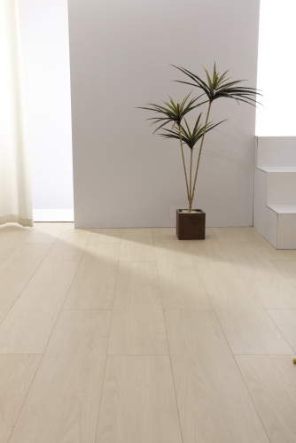 OAK-05 月光白橡